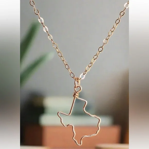 Texas necklace - 14K Gold Filled - Picture 2 of 5